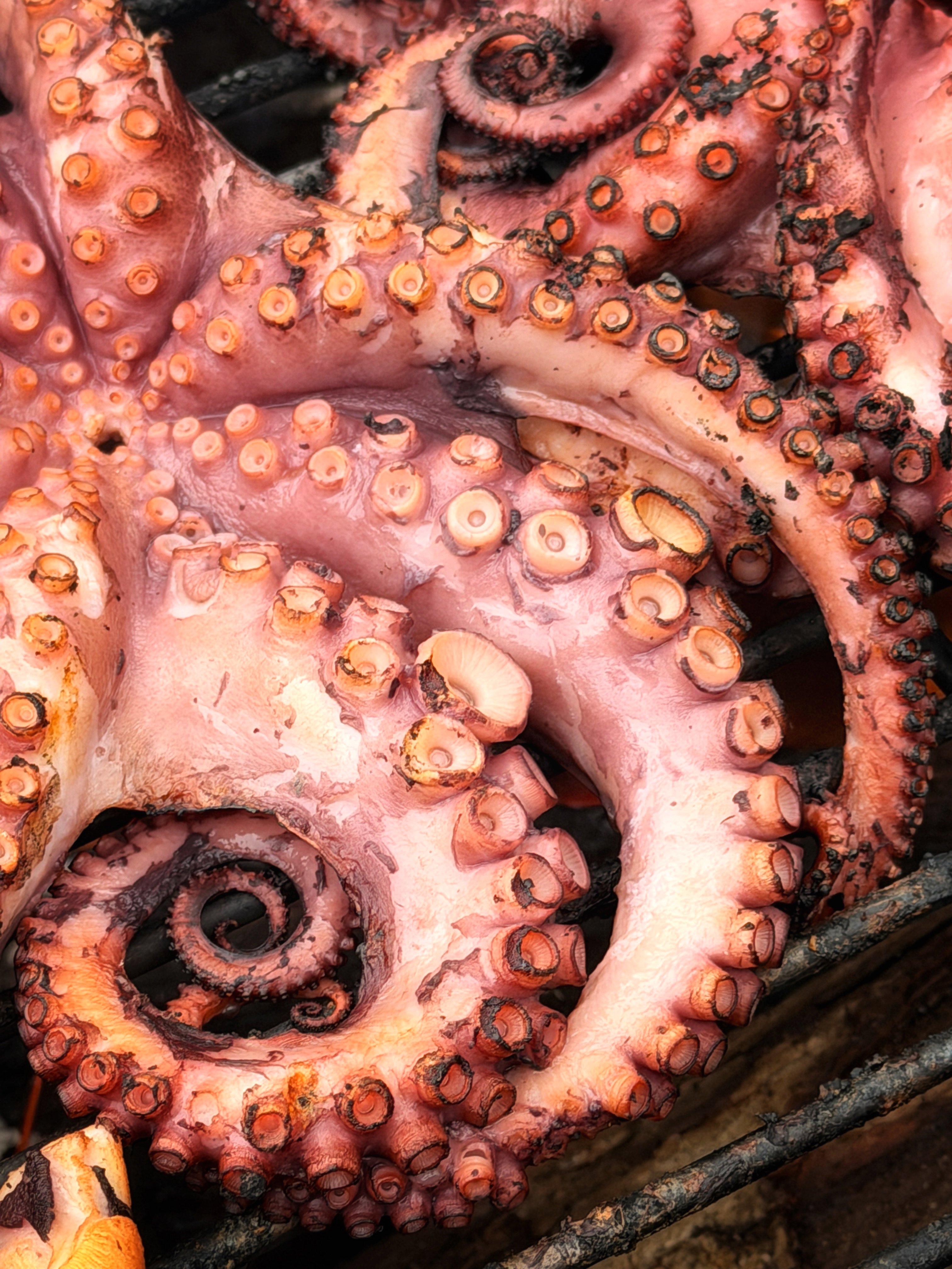 Image: beast_feast_2