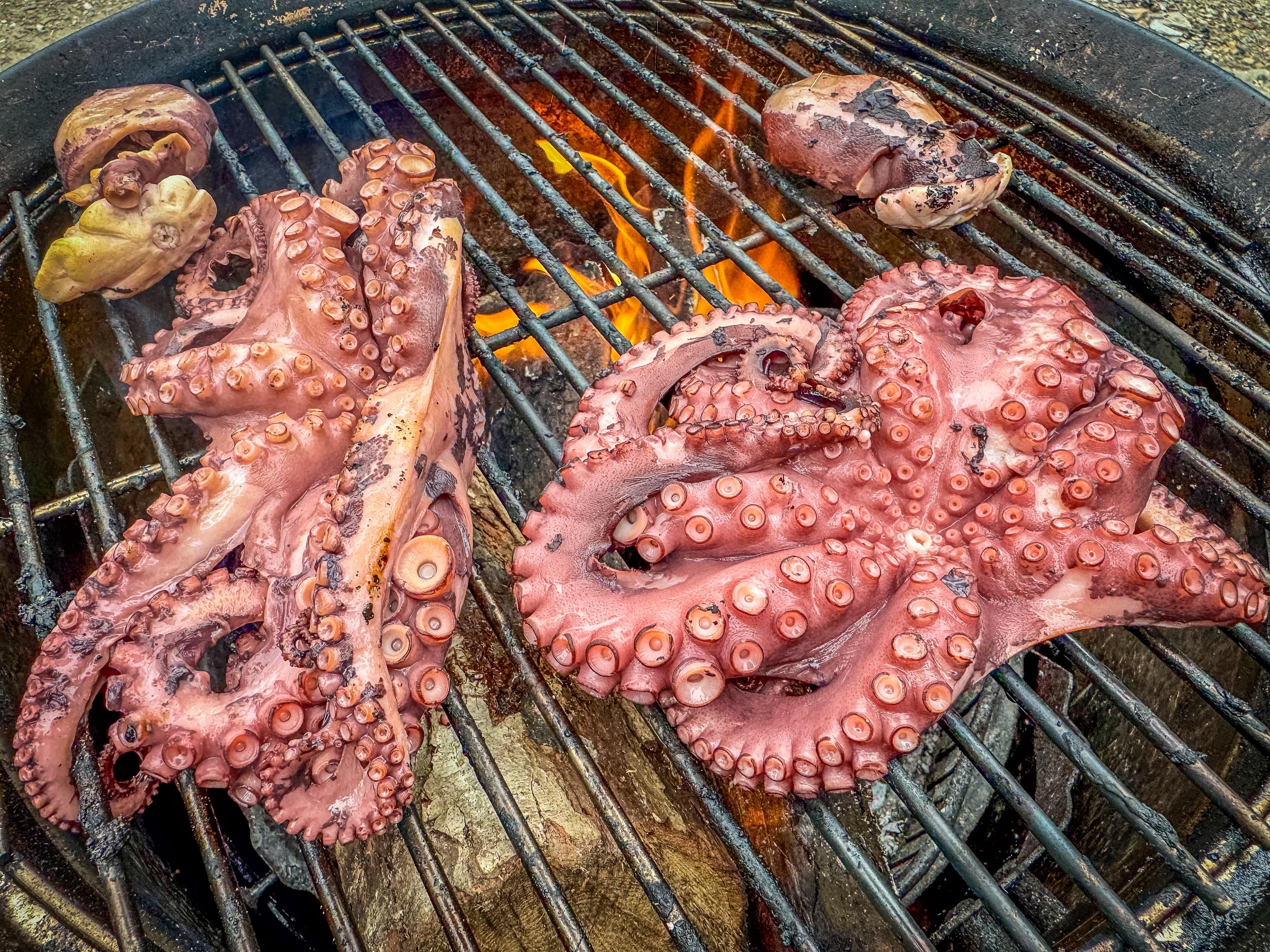 Image: beast_feast_23