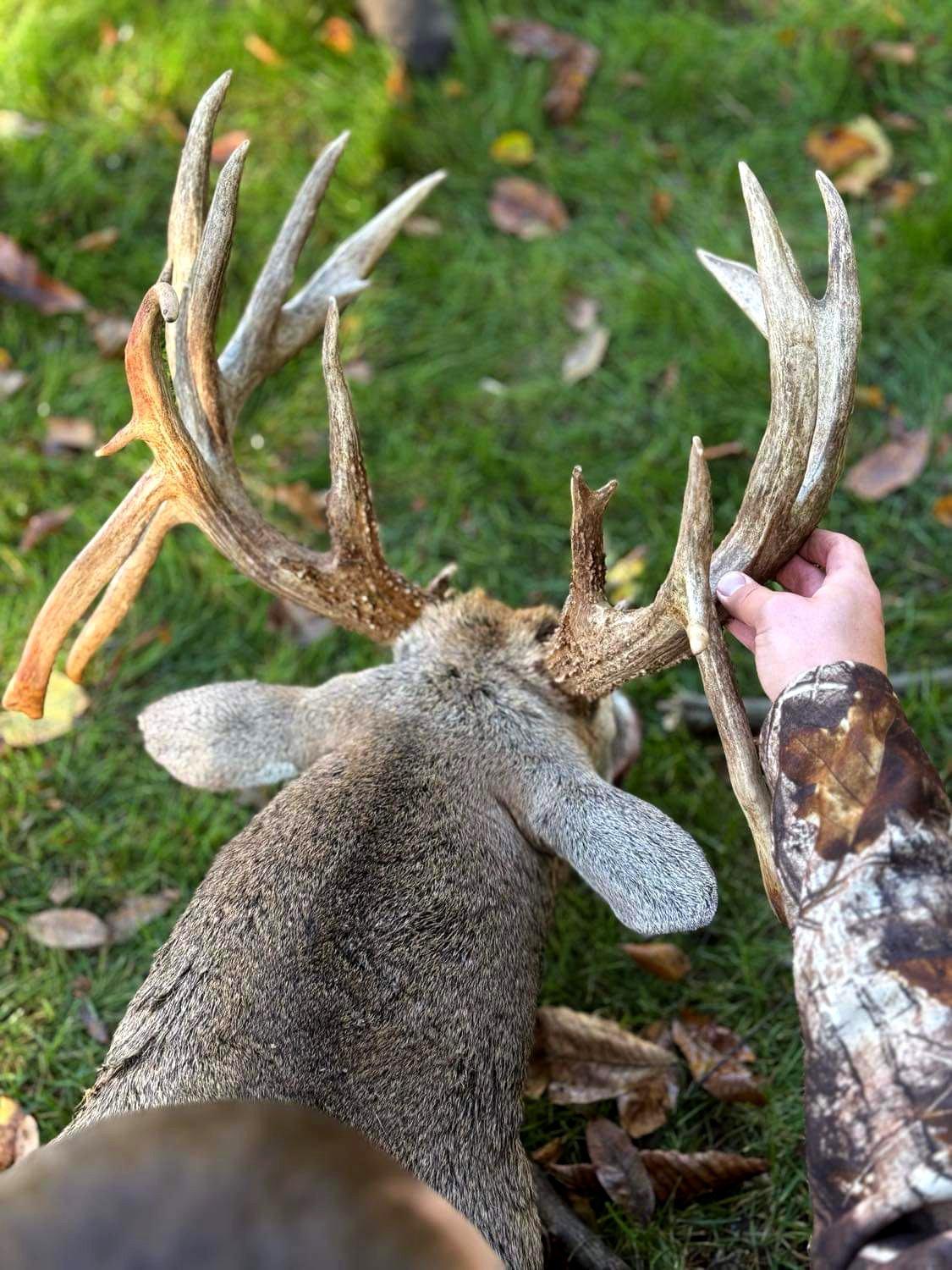 Image: ben_cramer_rack_3