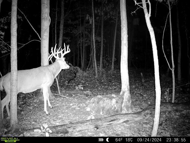 Image: ben_cramer_rack_7