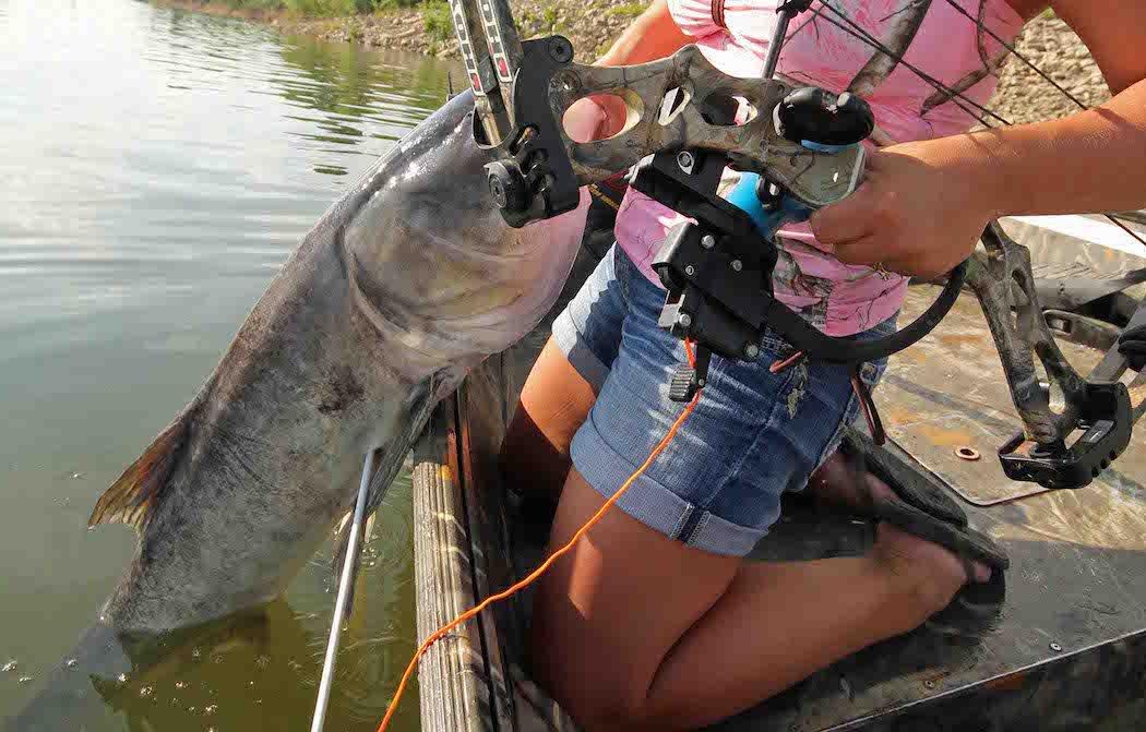 Bowfishing Boat  BowFishing Country