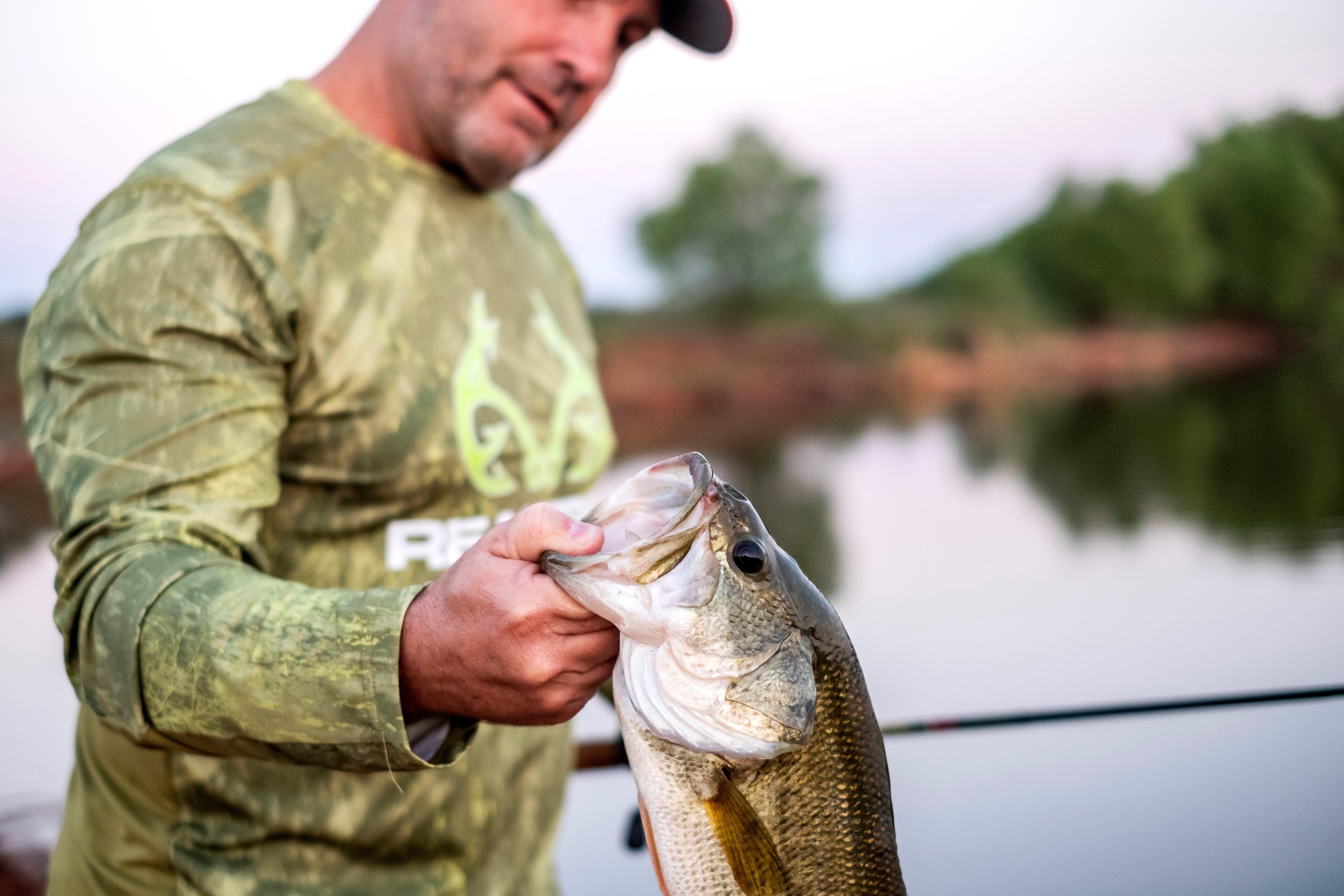 Image: best_bass_states_2