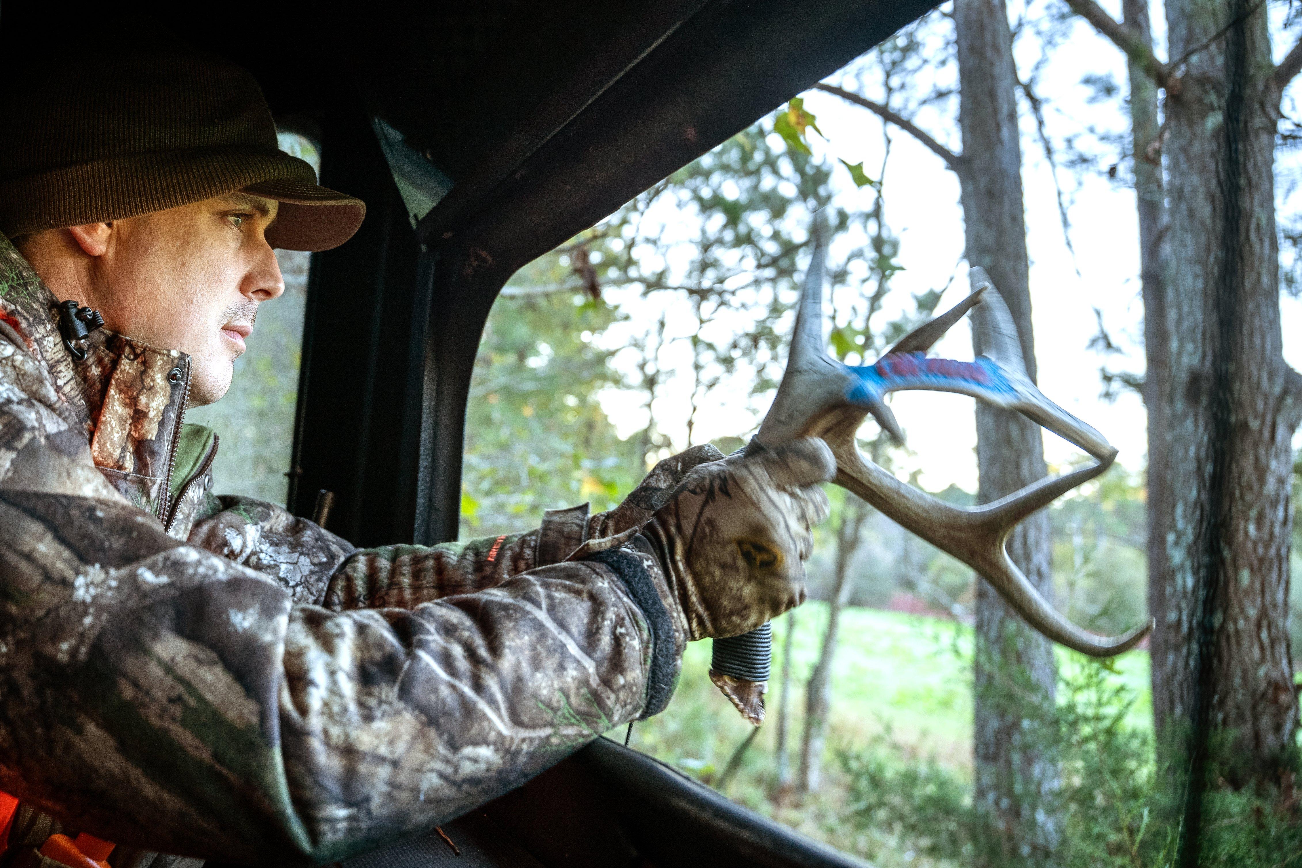 Image: best_days_deer_7