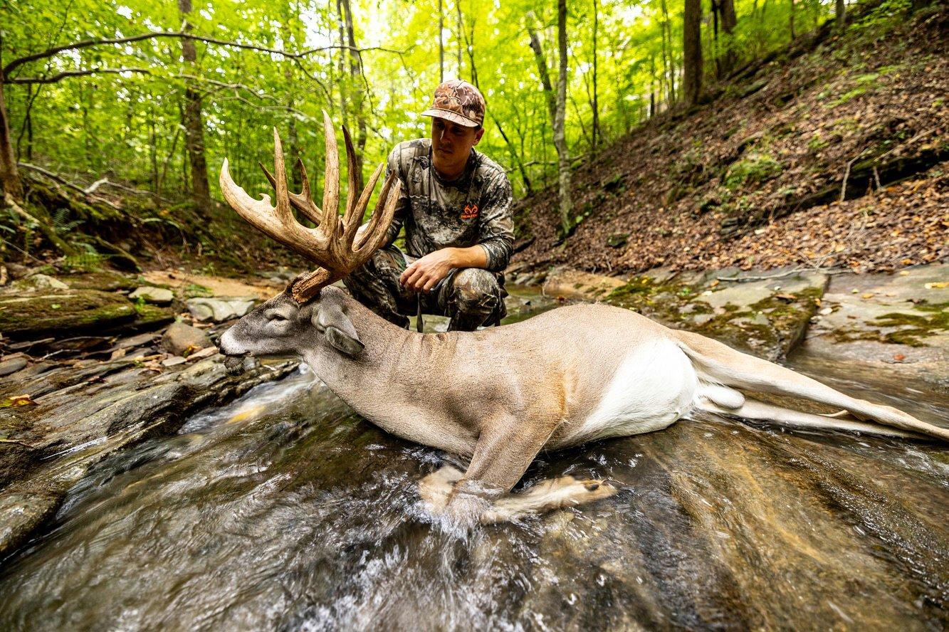 Image: big_buck_tiny_prop_1