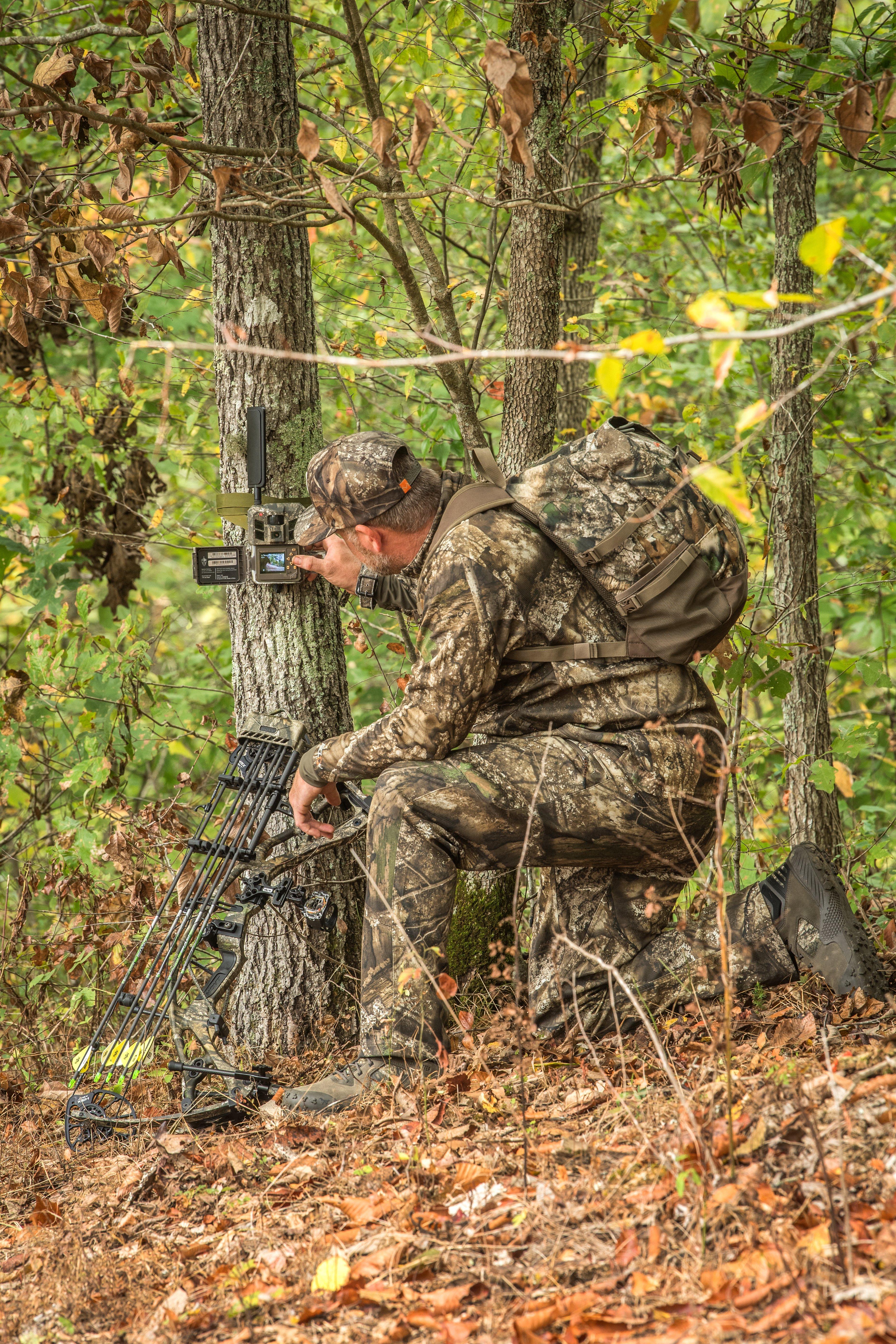 Image: big_buck_tiny_prop_4