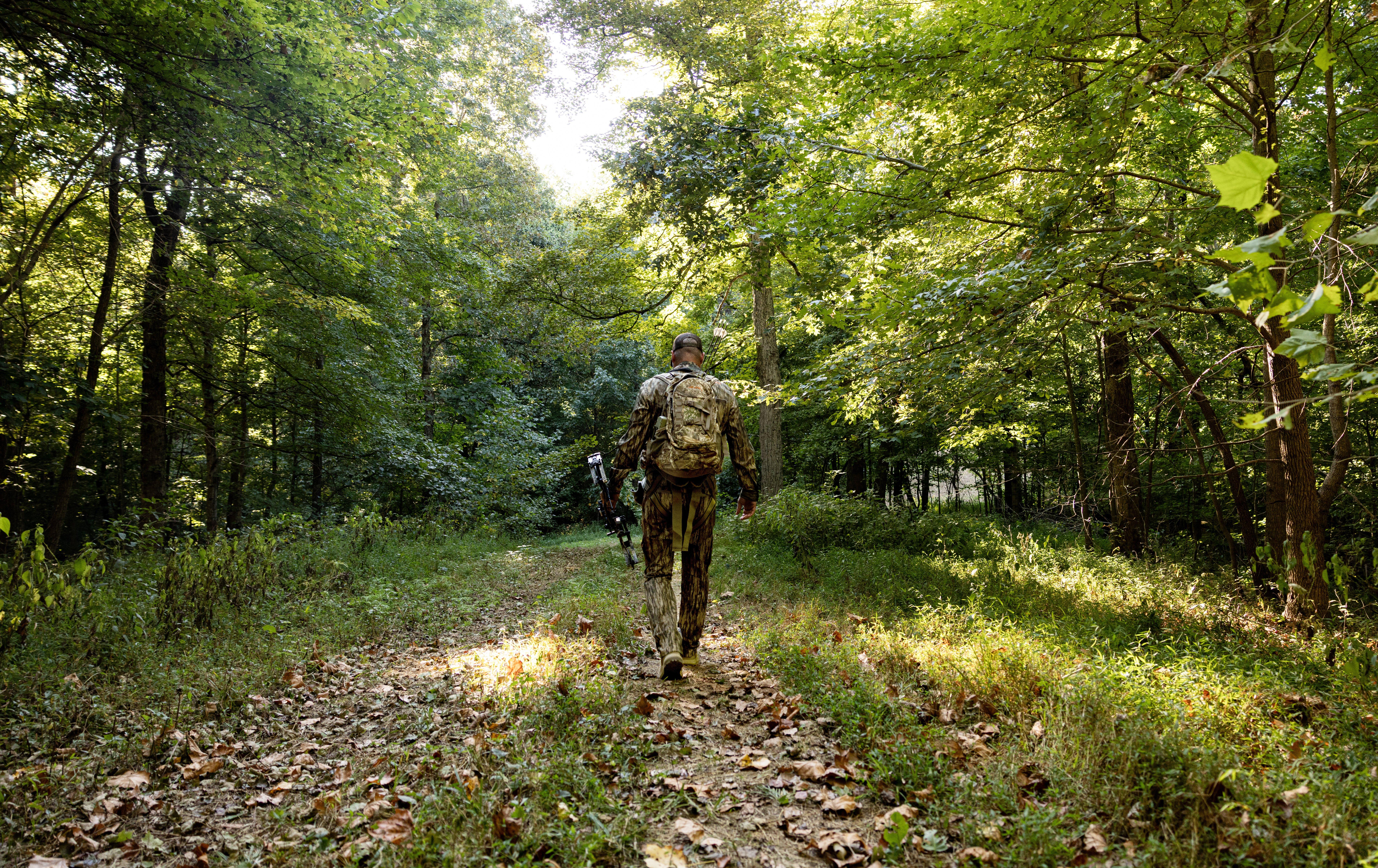 Image: big_buck_tiny_prop_8