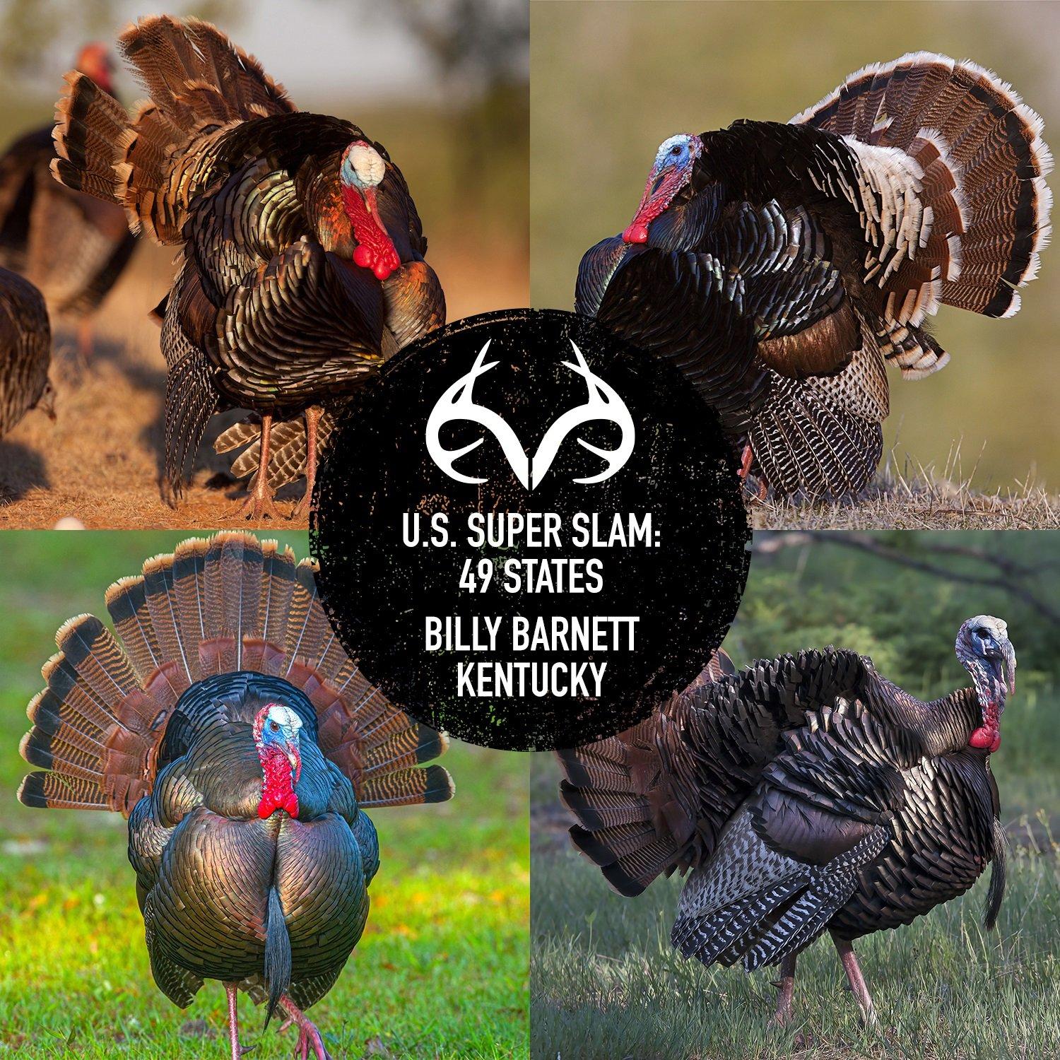 Thinking Inside the Box (Call)Turkey and Turkey Hunting