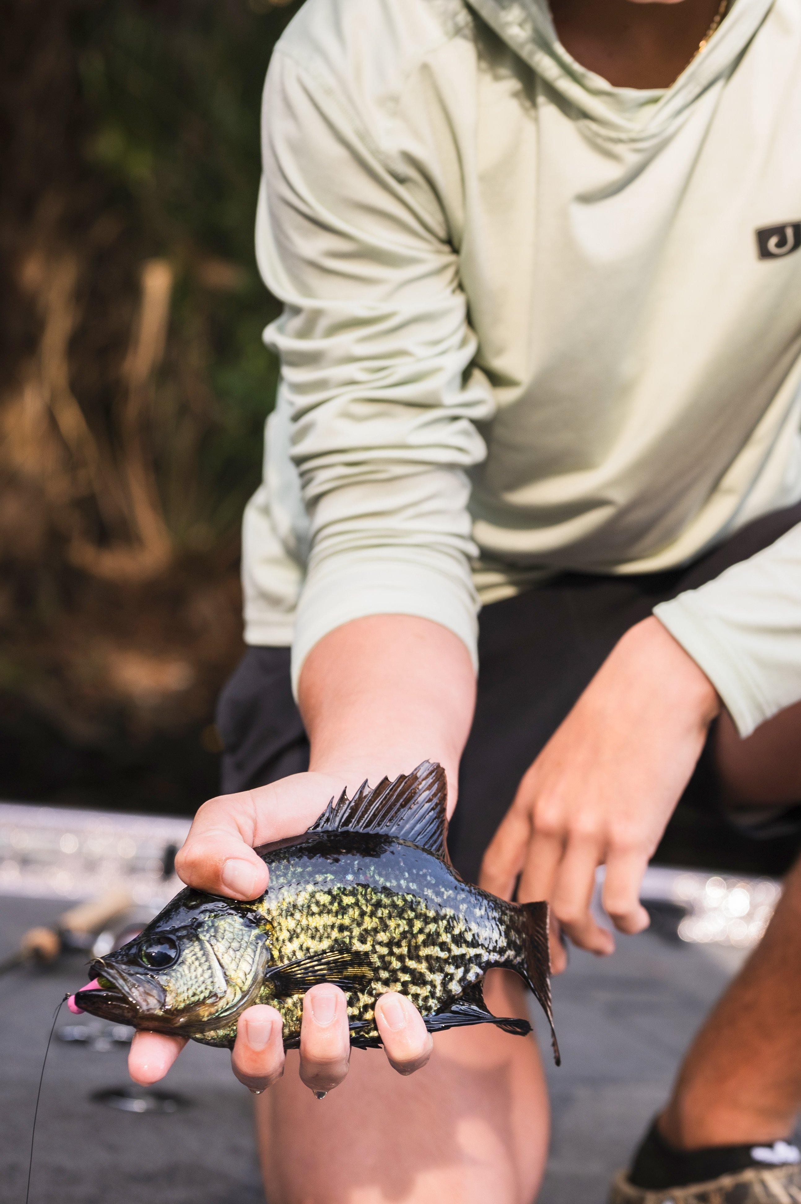 Image: black_crappie_4