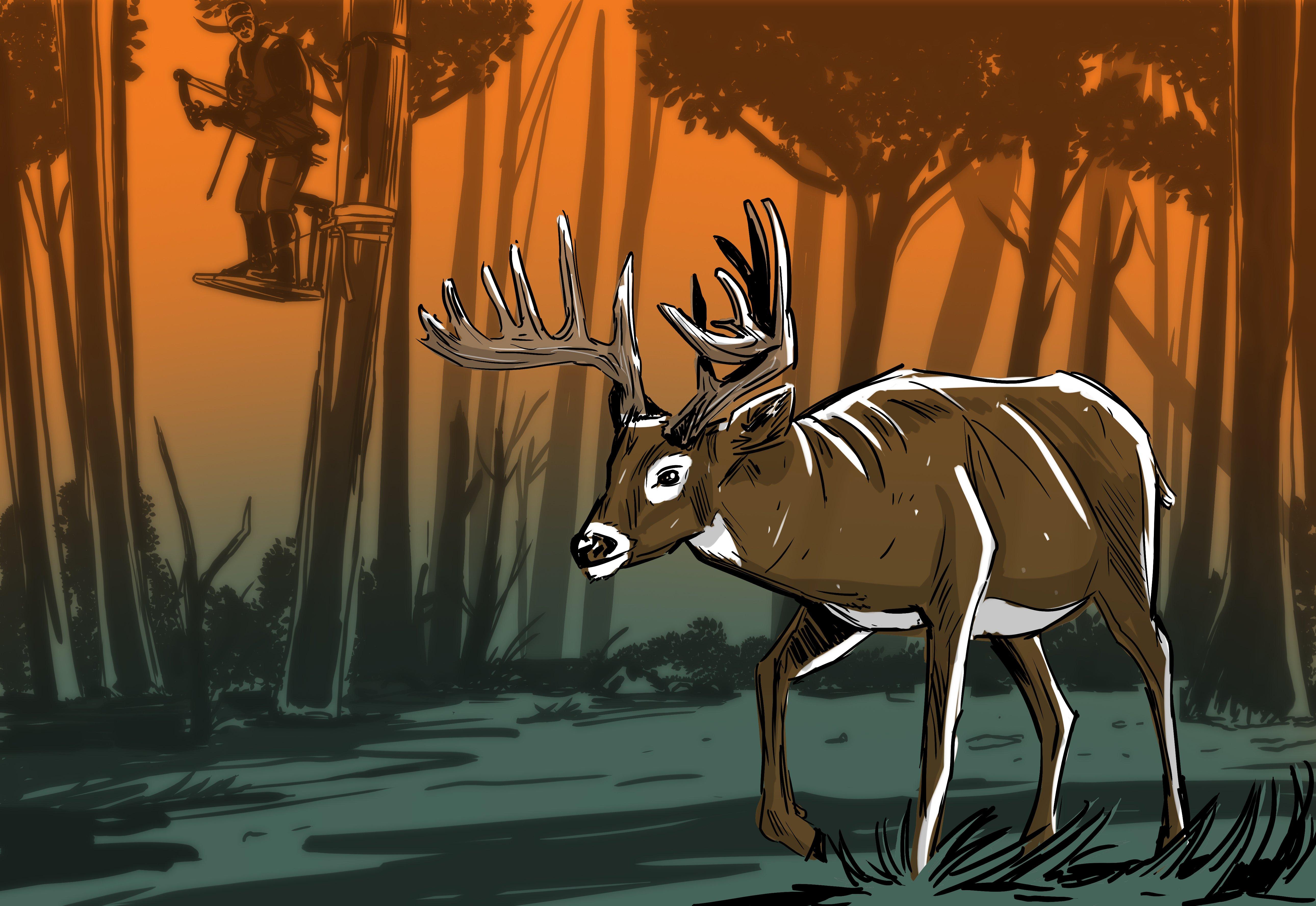 orange deer hunter cartoon