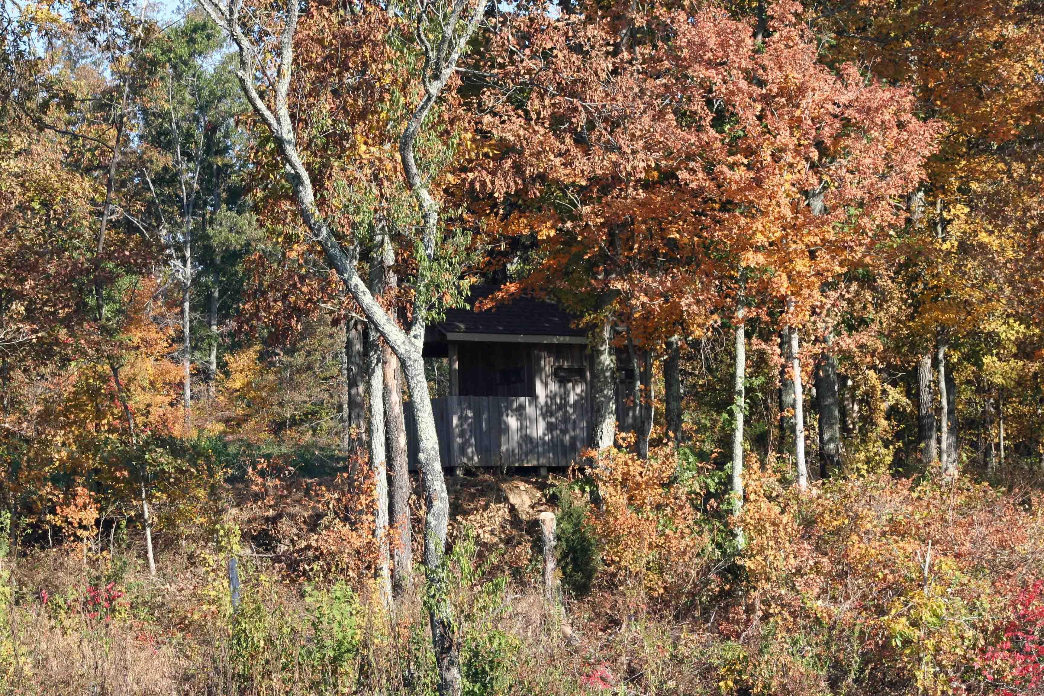 box blind deer stand