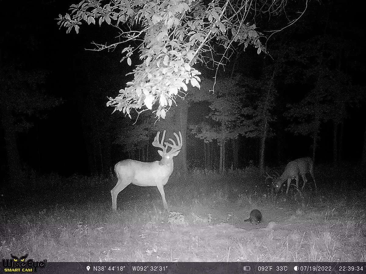 This season, the massive Missouri buck grew into an absolute monster. Image courtesy of Brock Wilson This season, the massive Missouri buck grew into an absolute monster. Image courtesy of Brock Wilson