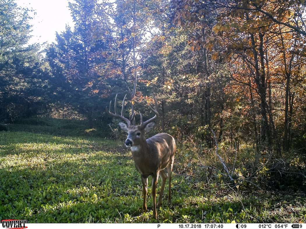 A lot of work and hours of planning finally helped seal this record-book buck's fate. (Brook Current photo)