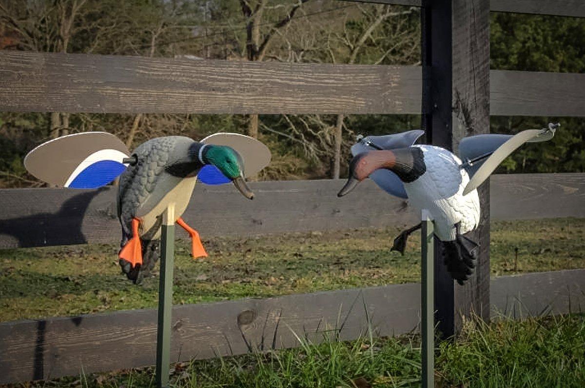 This photo shows the how a mallard drake was transformed into a nifty-looking can. Photo © James Buice