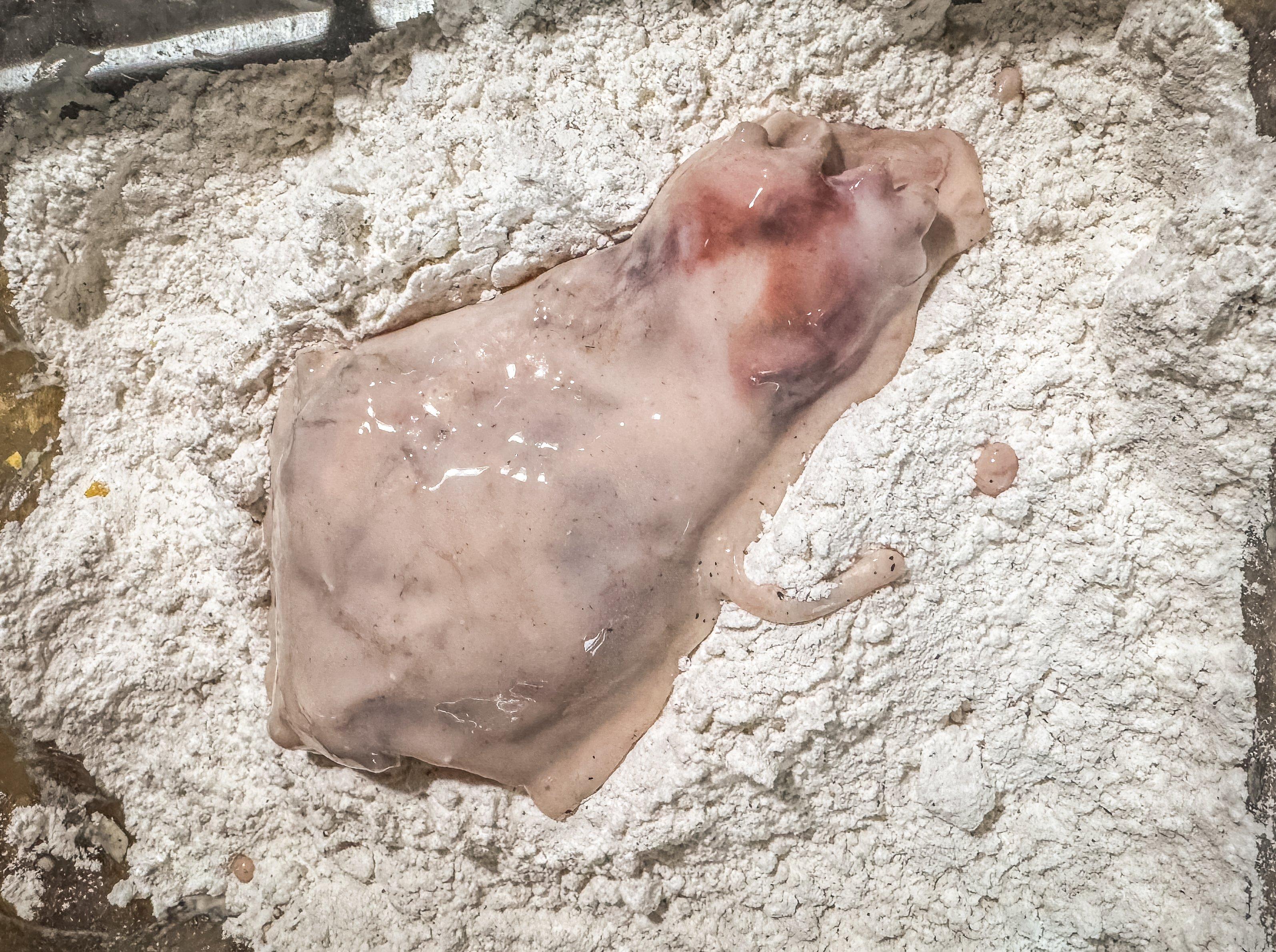 Image: buttermilk_brined_rabbit_3