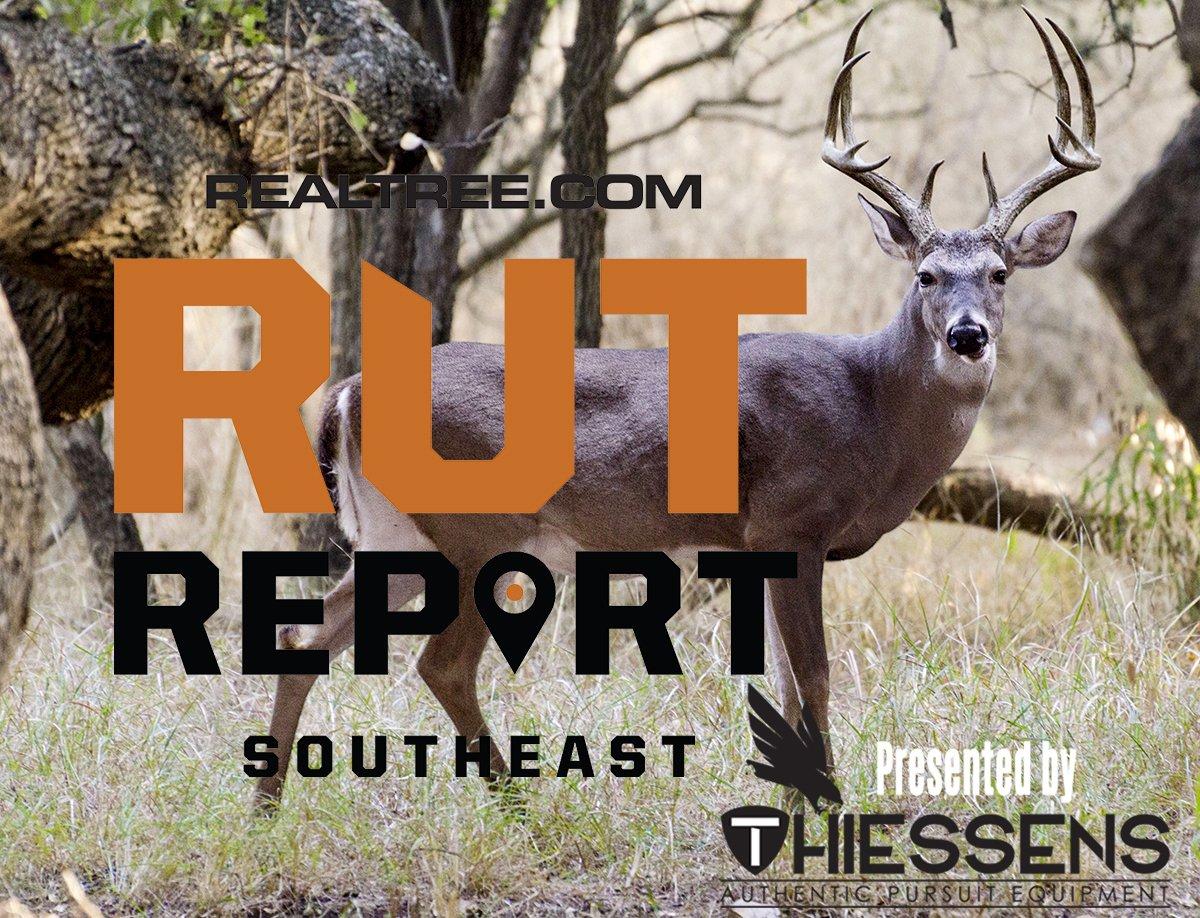 Southeast Rut Report: Expect Warm Weather to Decrease Daylight Activity - c_berry_medley-shutterstock-se