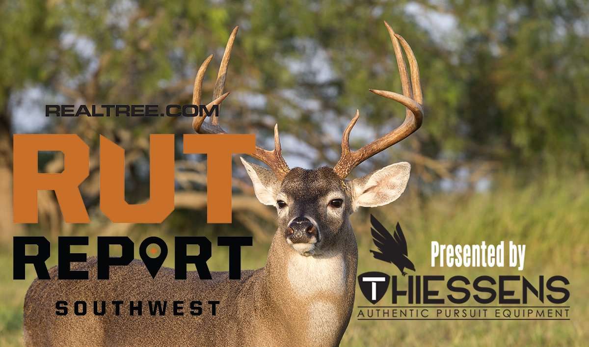 Southwest Rut Report: The Rut Is About To Pop - c_dennis_w_donohue-shutterstock-sw