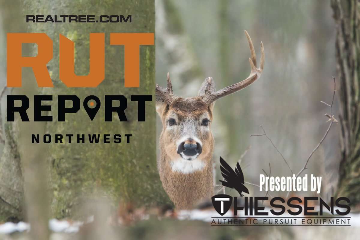 Northwest Rut Report: The Rut Is on Fire - Realtree Camo