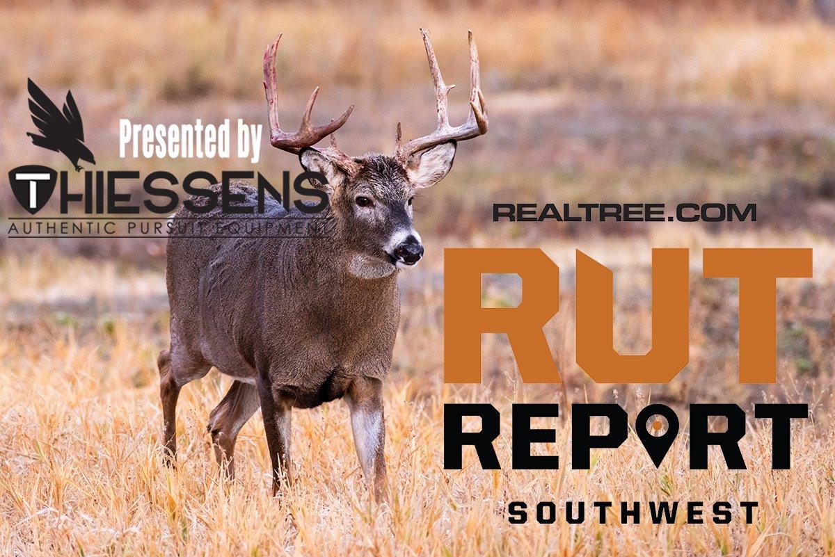 Southwest Rut Report The Texas Rut Is RedHot Realtree Camo