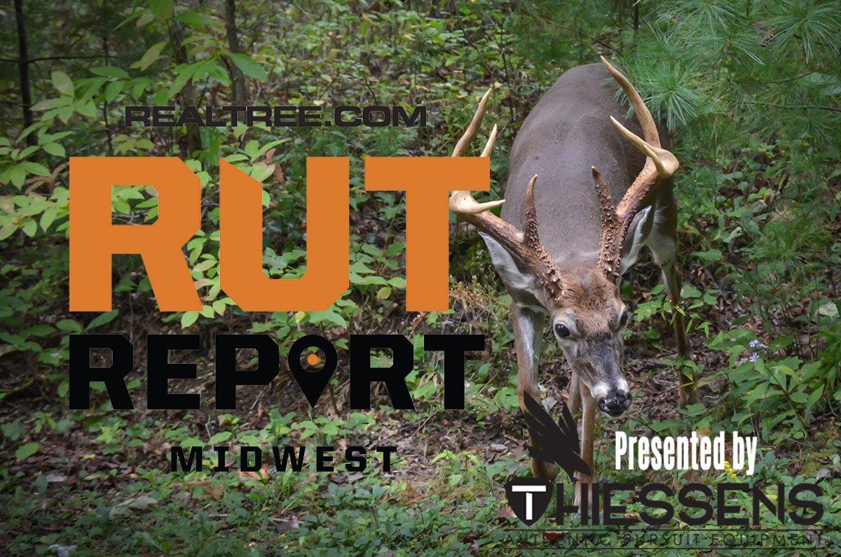 Midwest Rut Report Rut Sign Increasing Daily Realtree Camo