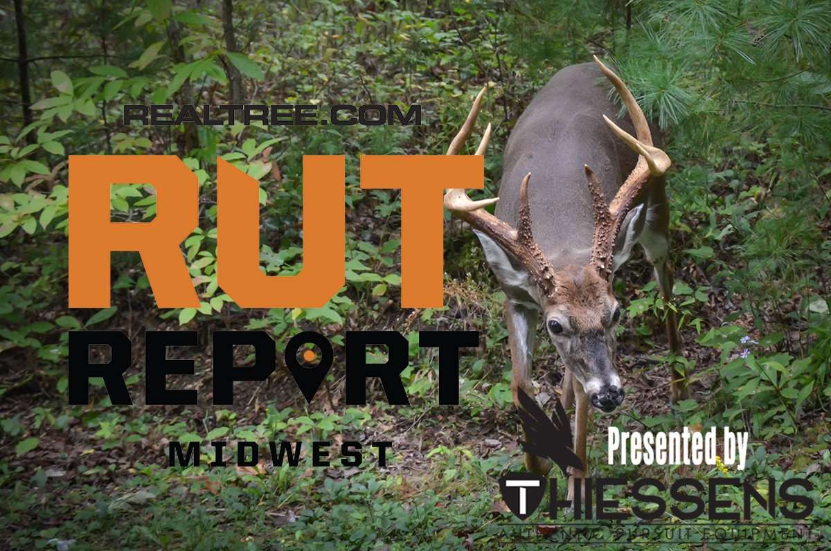 Midwest Rut Report: Rut Sign Increasing Daily - c_hildeanna-shutterstock-mw