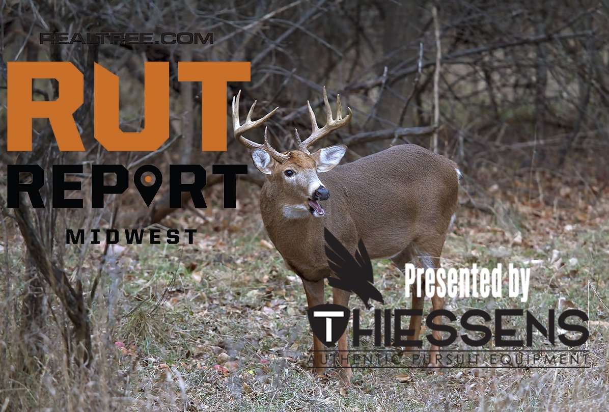Midwest Rut Report: The Post-Rut Is here - Realtree Camo