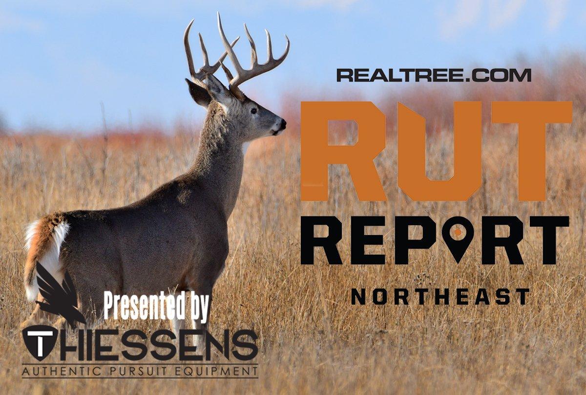 Northeast Rut Report Perfectly Timed Cold Front Sweeps the Region