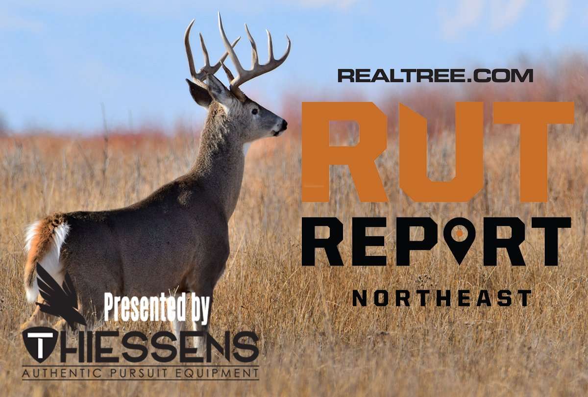 Northeast Rut Report: Perfectly Timed Cold Front Sweeps the Region - c_kirk_geisler-shutterstock-ne
