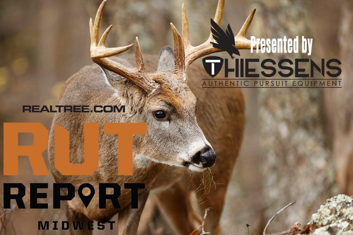 Midwest Rut Report: Latest Cold Front Ignites Daylight Rutting Activity - c_paul_tessier-shutterstock-mw