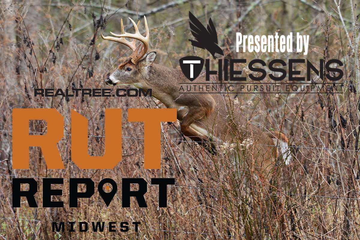Mid Week Rut Image Midwest Rut Report: Warm Front Arrives This Weekend - Realtree Camo