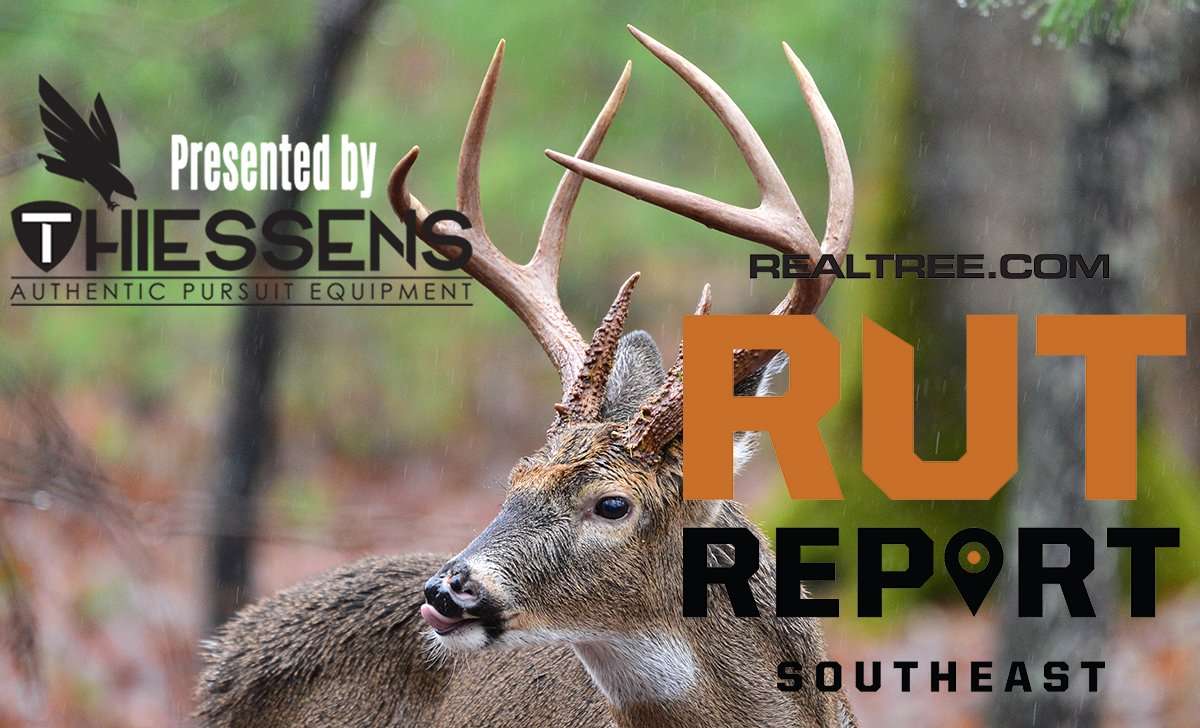 Southeast Rut Report: It's on in Alabama - c_paul_winterman-shutterstock-se