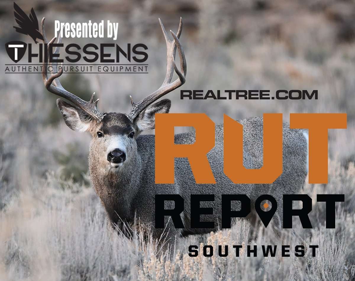 Southwest Rut Report: Expect a Great Weekend of Deer Hunting - c_rodney_kane_bertola-shutterstock-sw