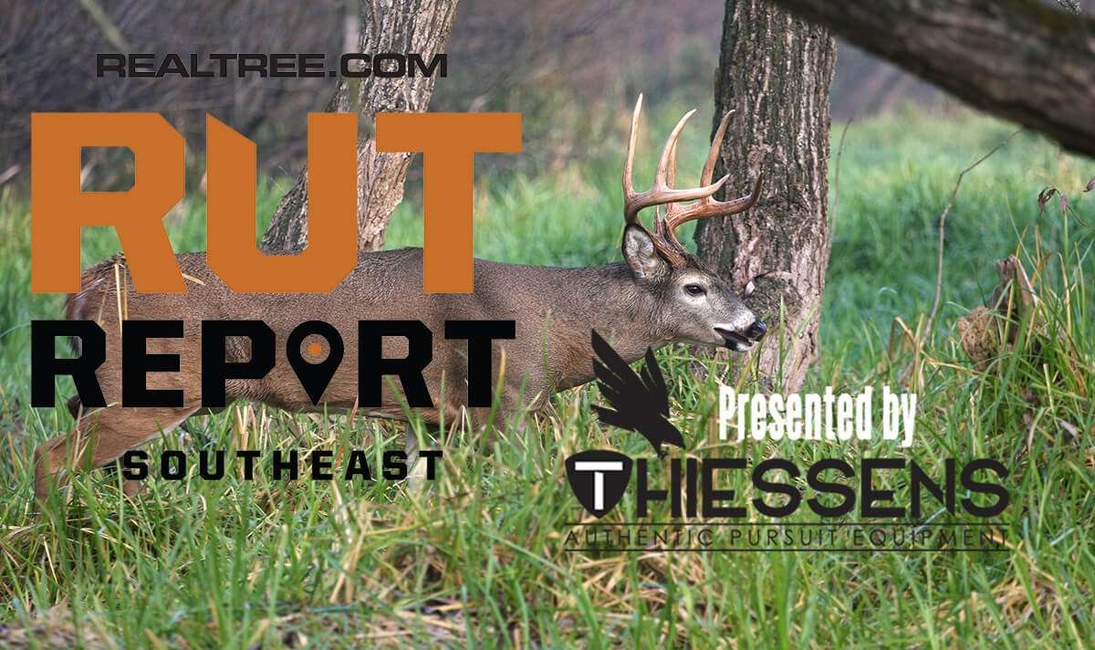 Southeast Rut Report: Rut Sparks Starting to Fly - c_ron_rowan_photography-shutterstock-rut_se