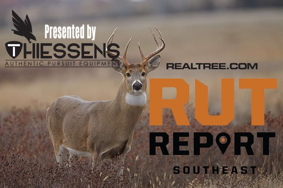 Southeast Rut Report: Full Steam Ahead Down Rut Road - Realtree Camo