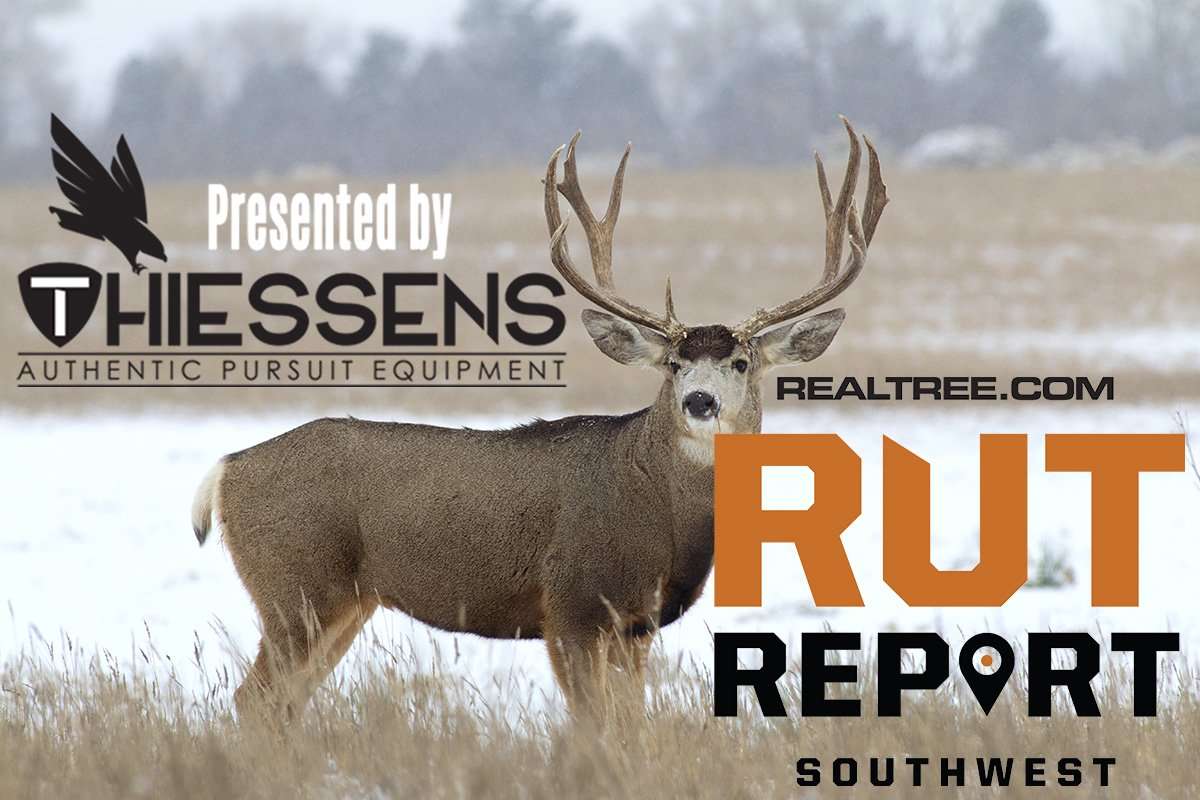 South Texas Rut Southwest Rut Report: South Texas Deer Are Rutting - Realtree Camo