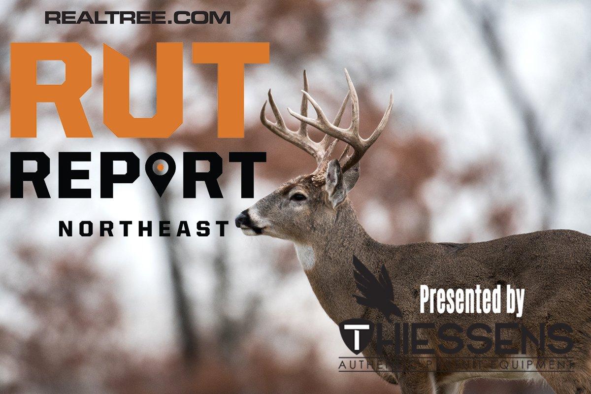 Northeast Rut Report Cold Weather Spurs Incredible Daylight Rut