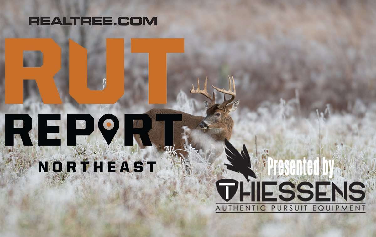 Northeast Rut Report: The Rut Is Over - c_tony_campbell-shutterstock-ne_copy