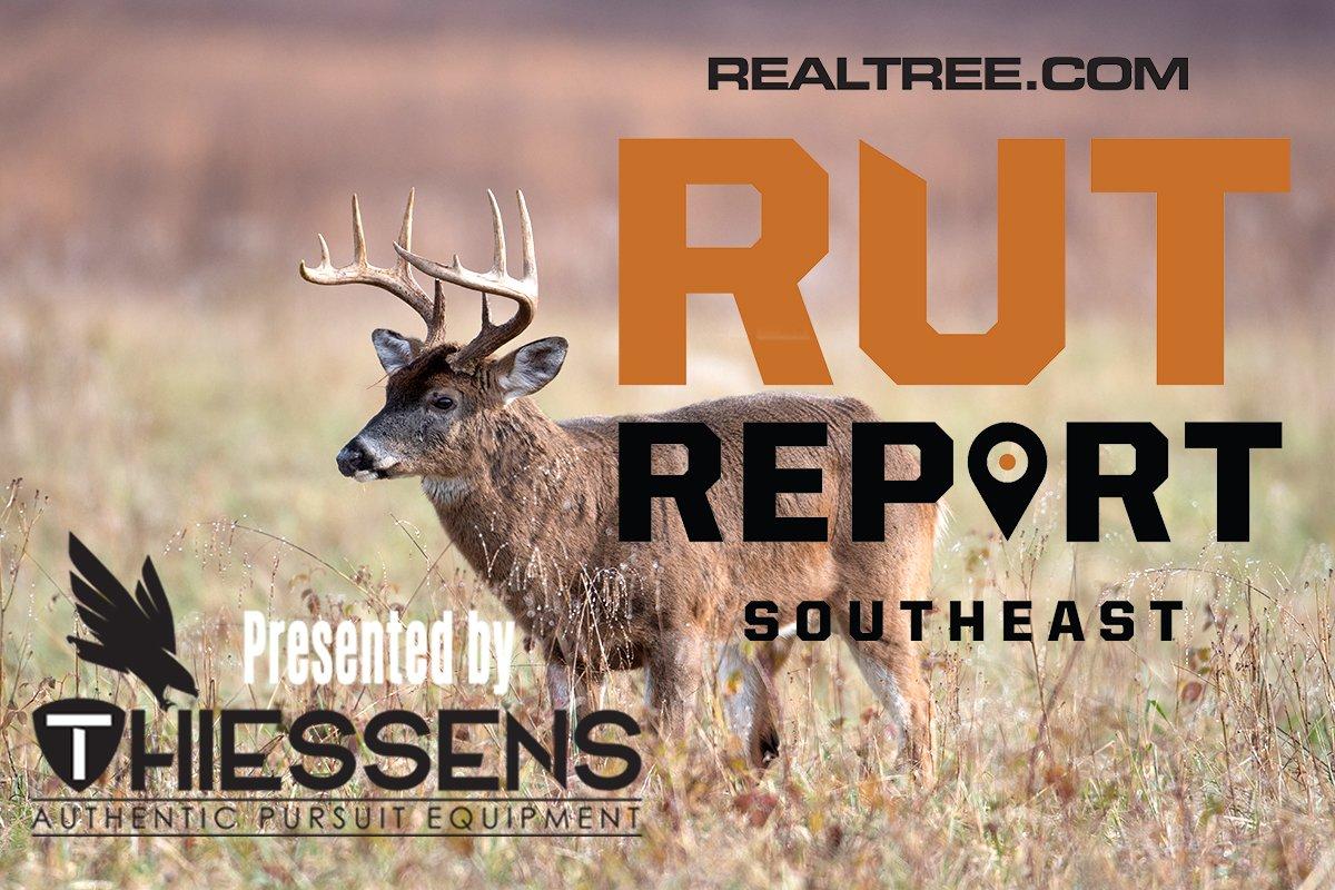 Southeast Rut Report: Massive Cold Front and Rut Activity Should Produce Excellent Deer Hunting - c_tony_campbell-shutterstock-se