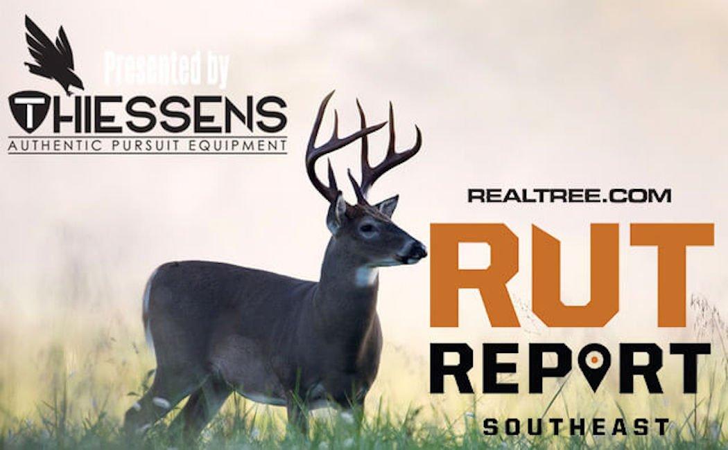 Southeast Rut Report: Slowly Exiting the Lock-Down Phase - c_tony_campbell-shutterstock-se_0