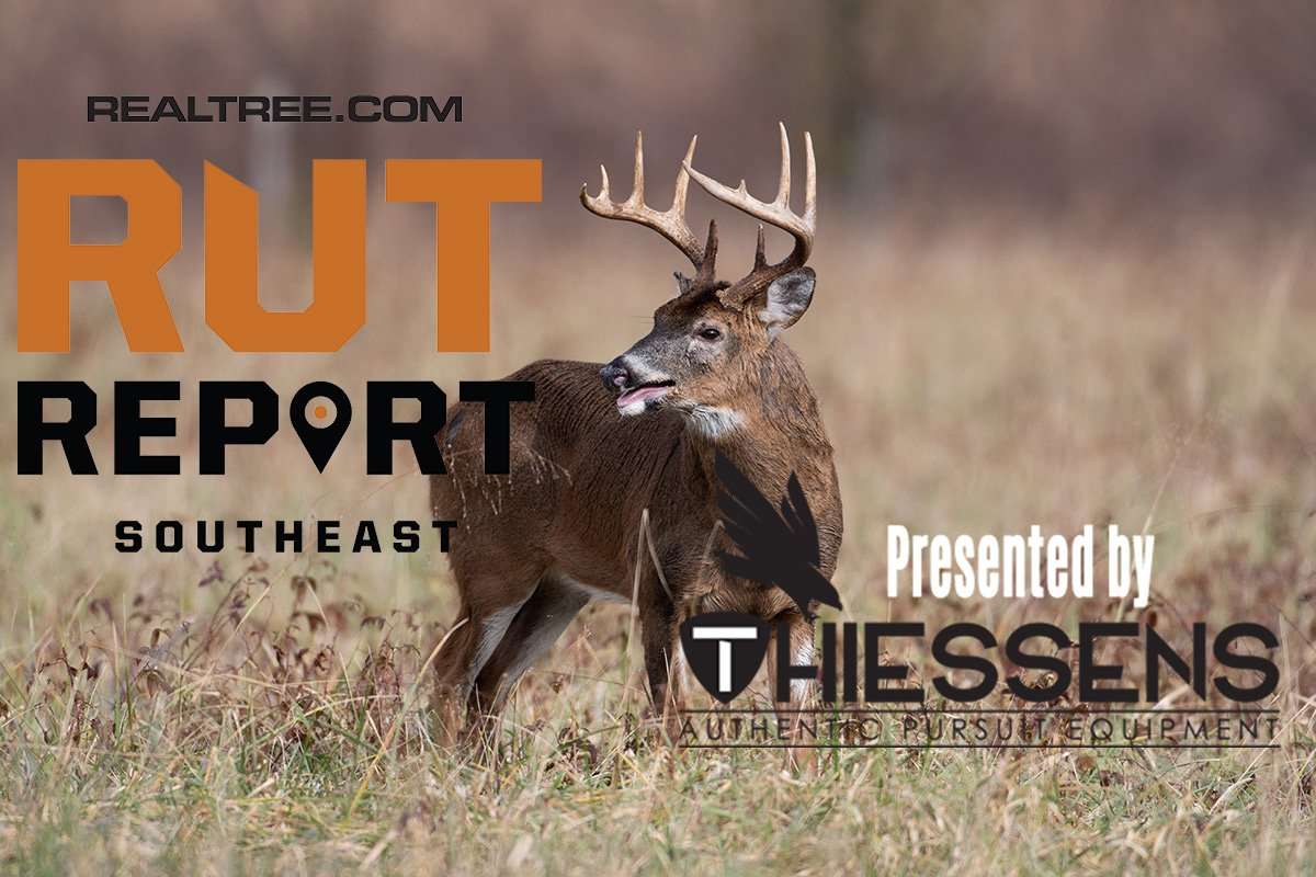 Southeast Rut Report: 8 of 11 States Currently Seeing Good Rut Action - c_tony_campbell-shutterstock-se_1