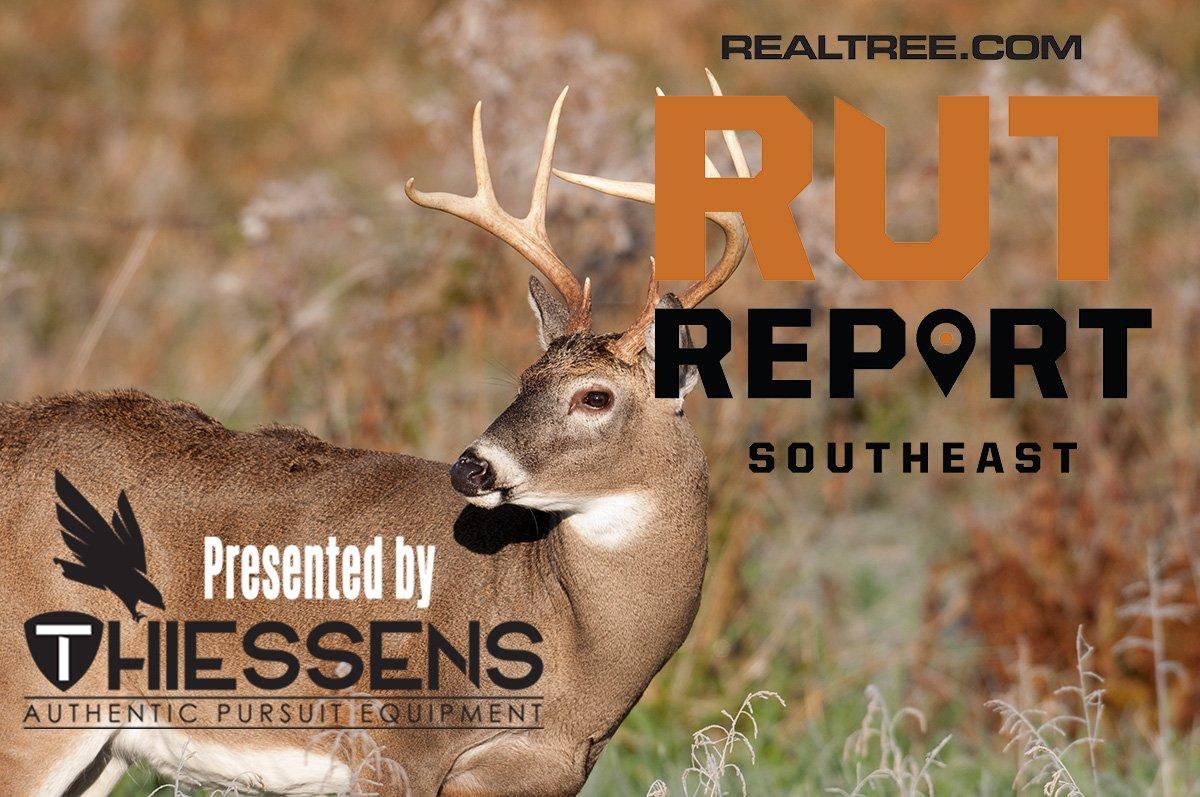Southeast Rut Report: Rut Mostly Over, but Hot Spots Remain - c_tony_campbell-shutterstock-se_1_0