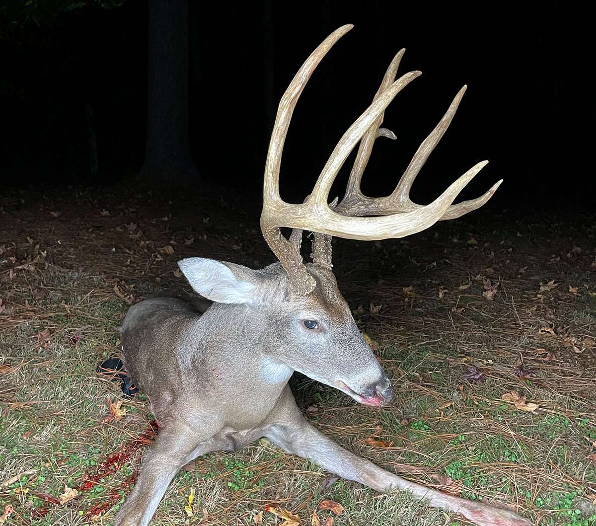 Even thought the buck had a narrow frame, the incredible tine length scored well.