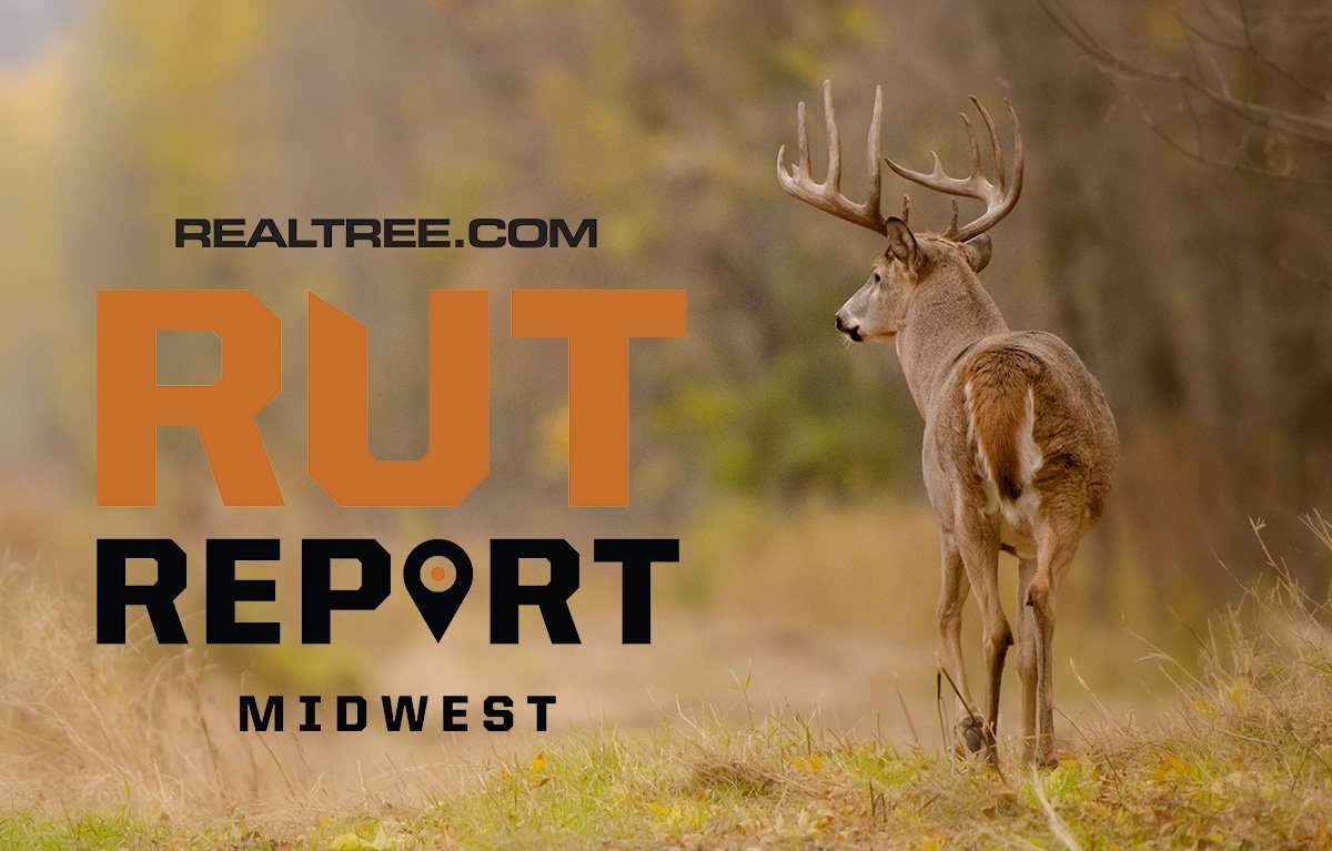 Midwest Rut Report: The Big Boys Are Cruising - Realtree Camo