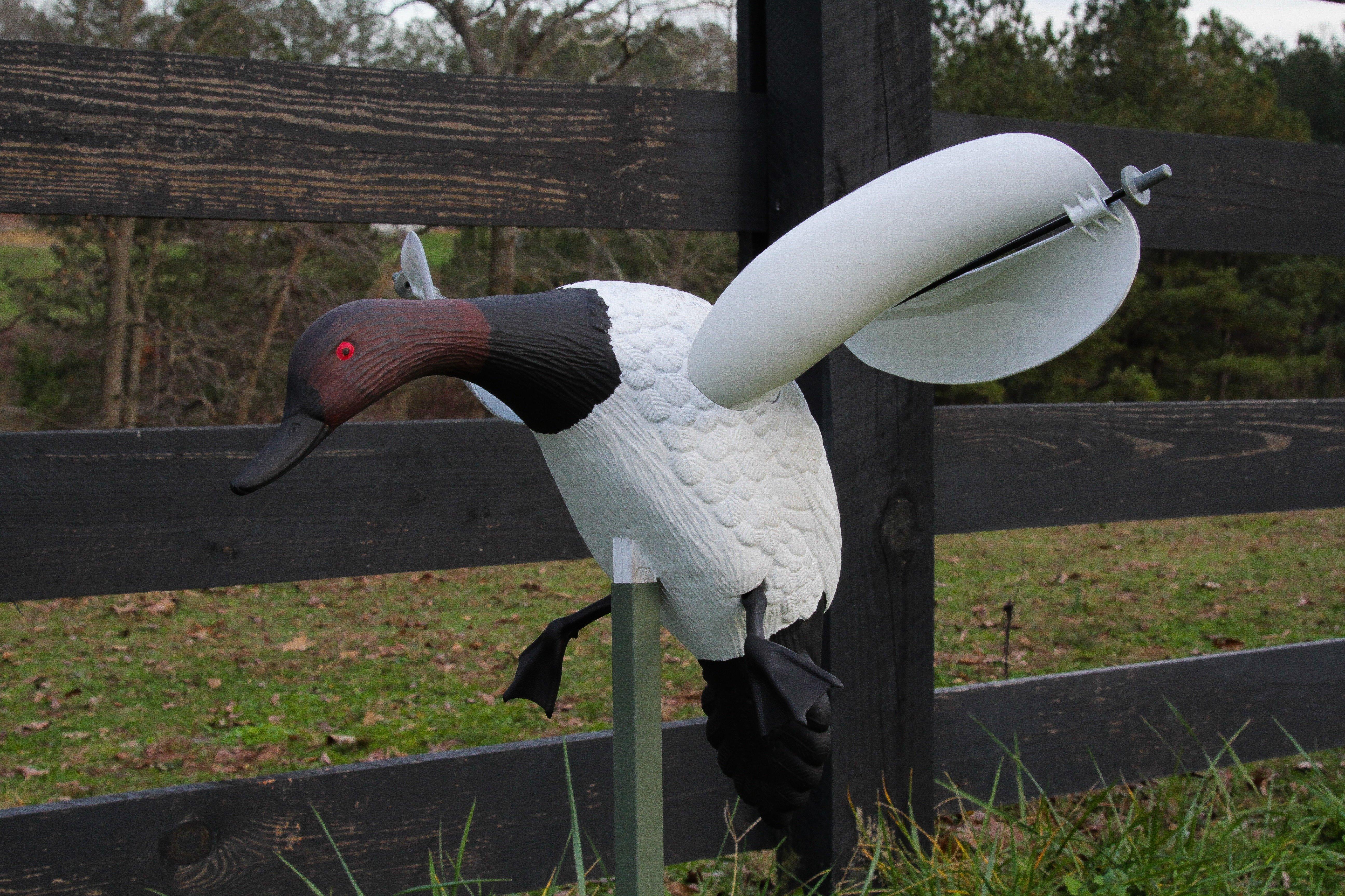 With a few jars of paint, the author turned a couple of mallard drake spinners into canvasbacks.