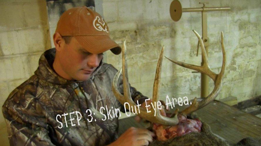 Caping a deer for the wall begins with a correct field-dressing job. (Author Image)