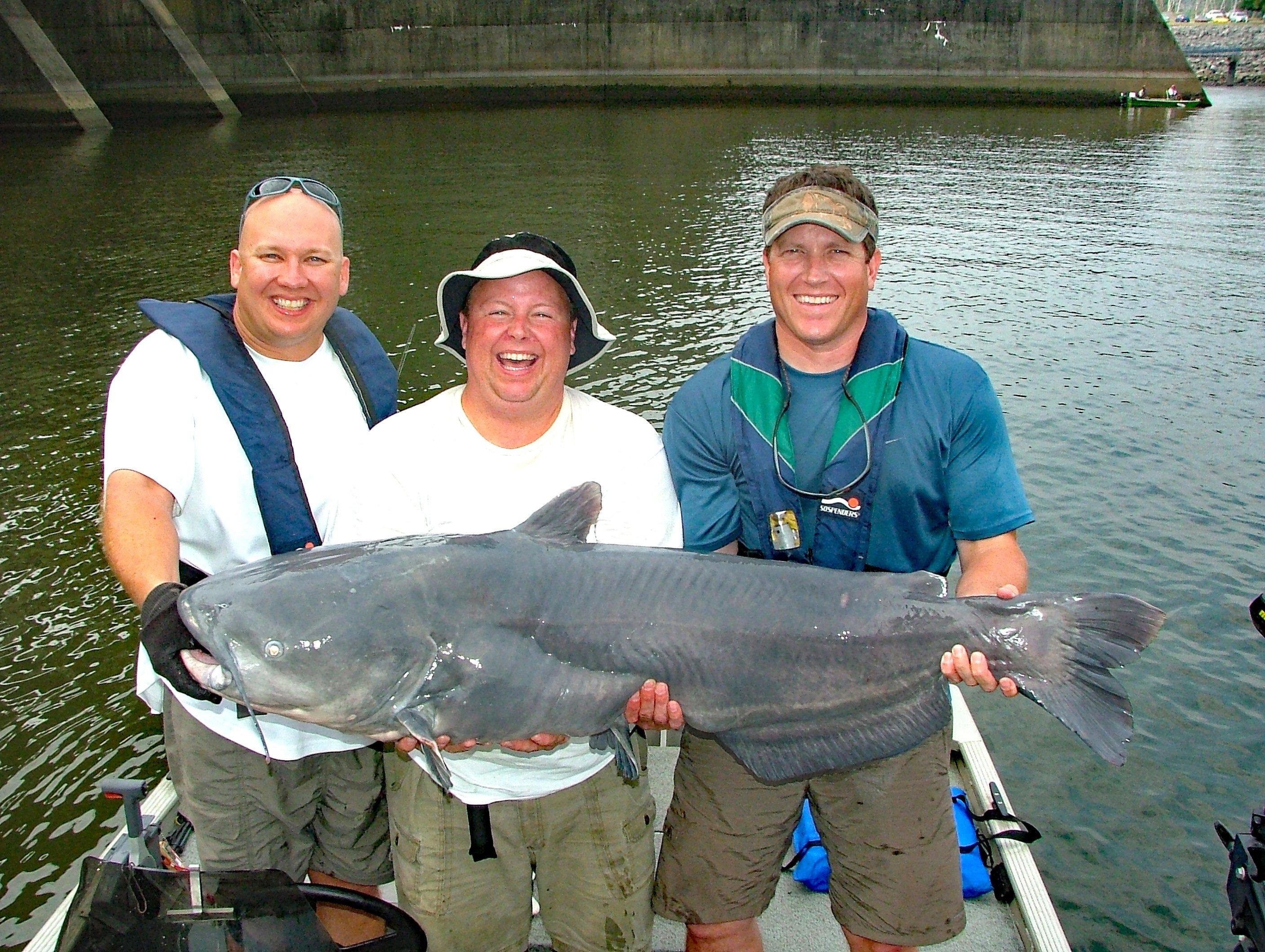 Catch the Biggest Catfish of Your Life on the Tennessee Rive - Game & Fish