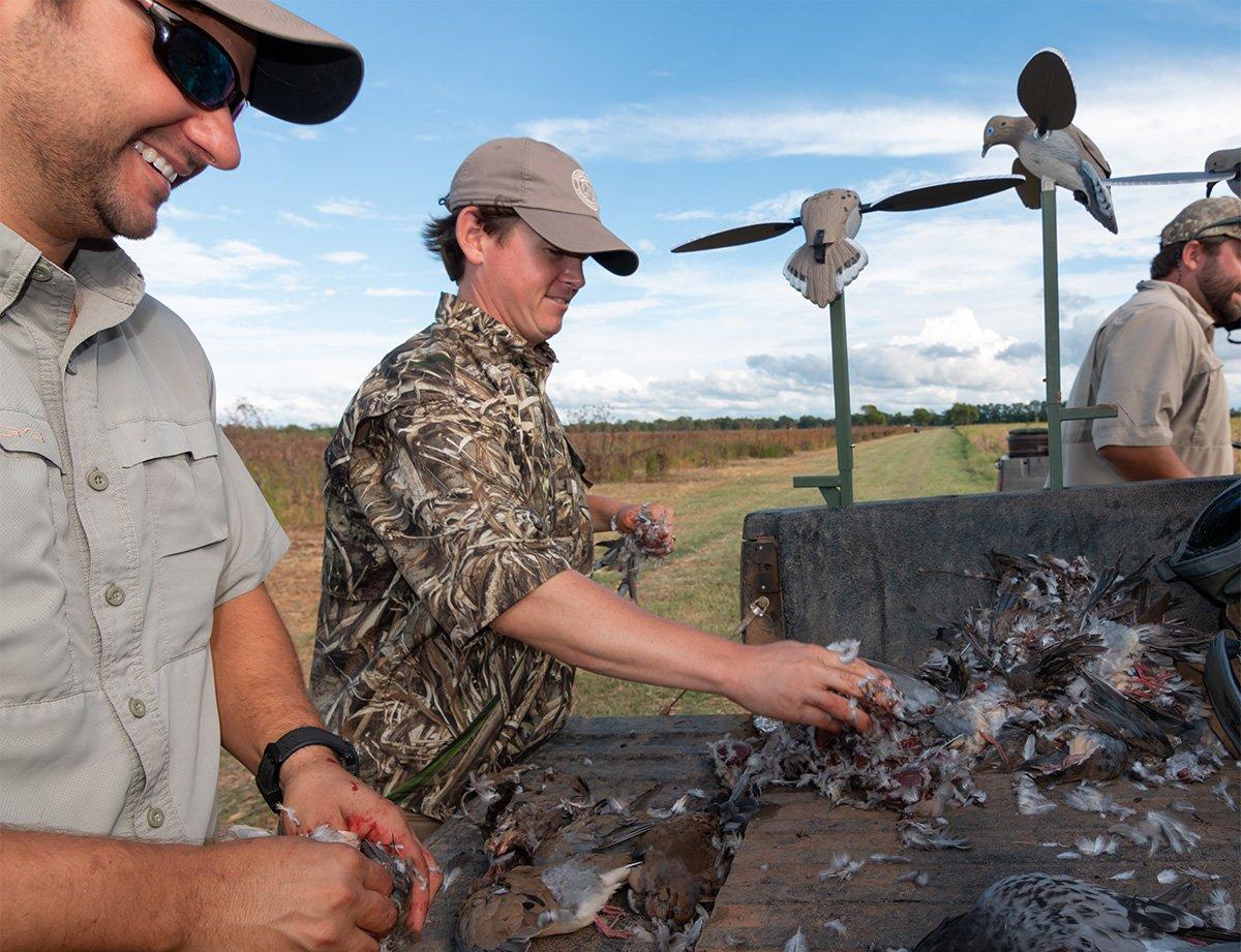 Spinning-wing decoys can attract doves from a long way. (Austin Ross Image)