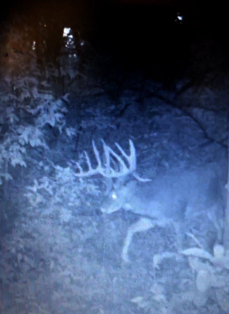 Other hunters nearly two miles away had trail cameras of the buck earlier on same day.