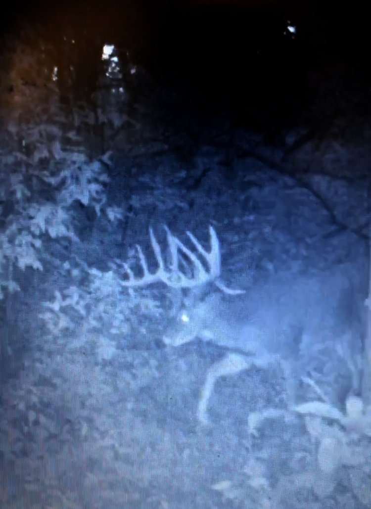 Other hunters nearly two miles away had trail cameras of the buck earlier on same day. Other hunters nearly two miles away had trail cameras of the buck earlier on same day.