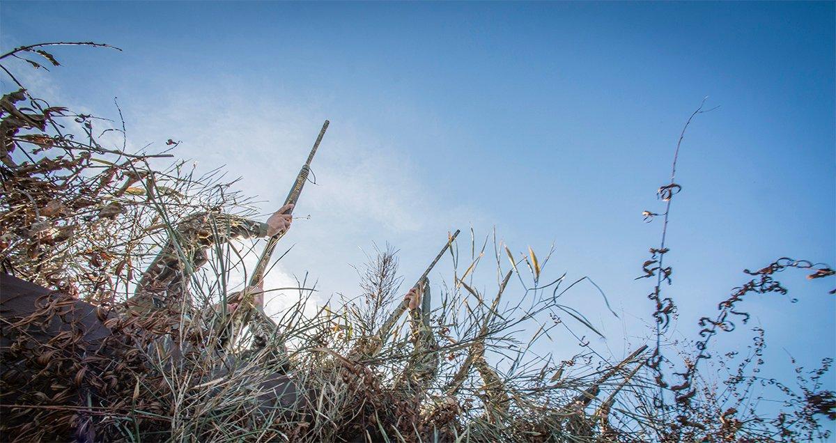 Shooting at a bird on your buddy's side of the blind is a sure way to hunt alone more often. Photo © Banded Outdoors