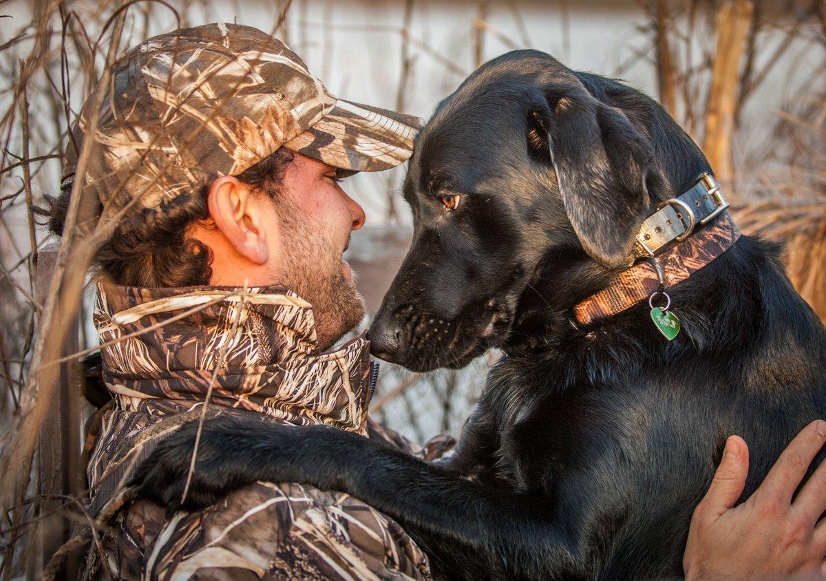 Does your duck hunting dog ever give you weird looks in the blind? Here's what they mean. Photo © Bill Konway